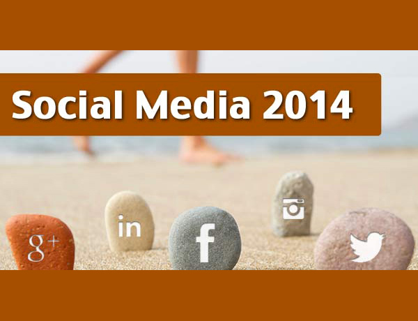 Chiffres Social Media 2014